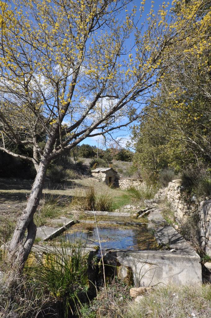 Lavoir Font de l'Escoule à Bourdiguet 007