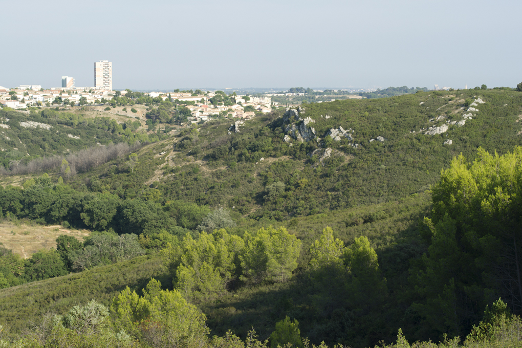 Garrigue-cite-Mosson-JW09