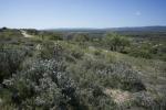 garrigue-Romar-Cournonterral-JW