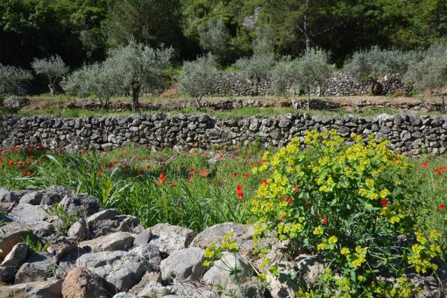 St Guilhem 002