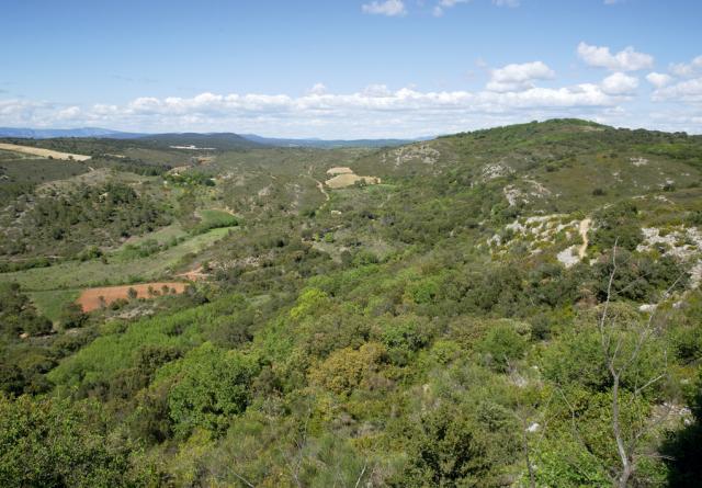 garrigue-Aumelas-JW02-acc