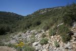 garrigue-escarp-ebouli-JW