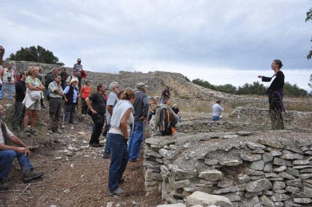 RDV garrigues Nages octobre 2013 024