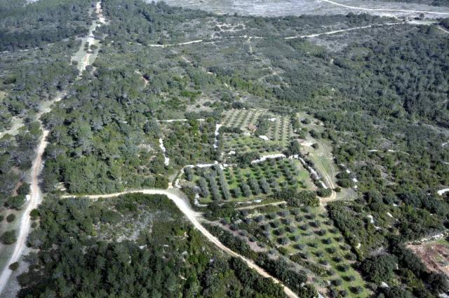 Vue Garrigue Nîmoise 037