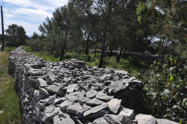 Enclos garrigue Nîmoise (Villeverte) 006