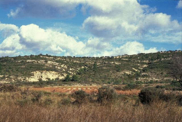 garrigue-cultures-EE