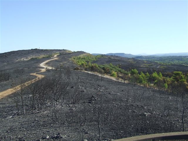 Incendie - St Bauzille de Montmel 01-09-2010 09-10-28