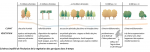 Evolution-veget-dans-le-temps