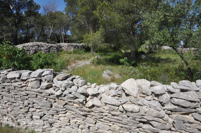 Enclos garrigue Nîmoise 008