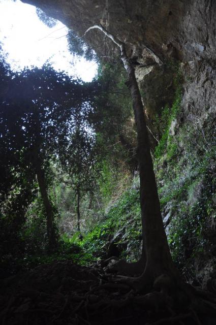 Gouffre des Espélugues 008