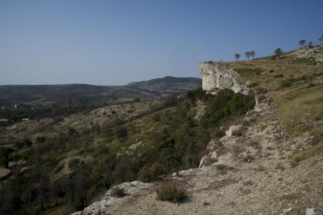 garrigue-pinede-apres-feu-JW05