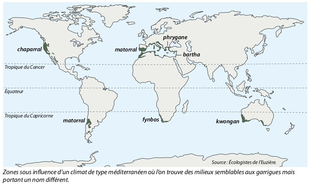 Garrigues-monde