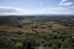 vignes-garrigue-Aumelas-JW