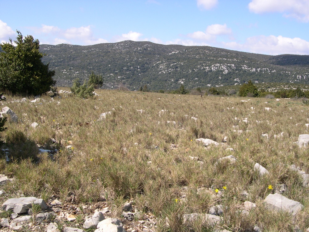 Plateau de St-Guilhem-le-D__sert - 34 _7__1