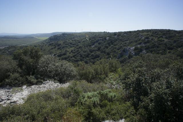 garrigue-Cournont-JW13