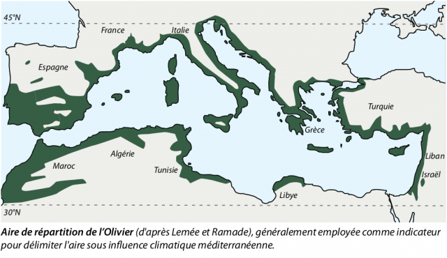 Aire-repartition-Olivier