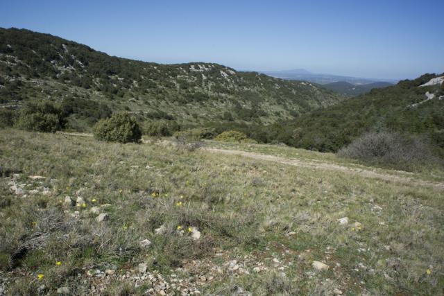 garrigue-hte-ravin-JW03