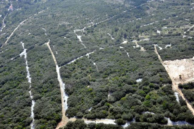 Vue Garrigue Nîmoise 023