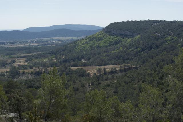 garrigue-chv-chb-escarp-JW