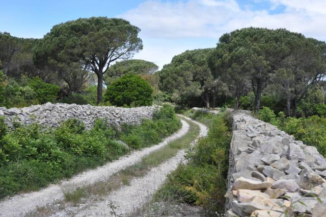 Nimes Caveirac 005