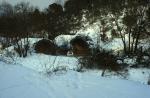 pont-Matelles-neige-BC