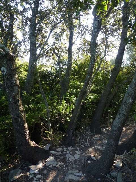 P1020795