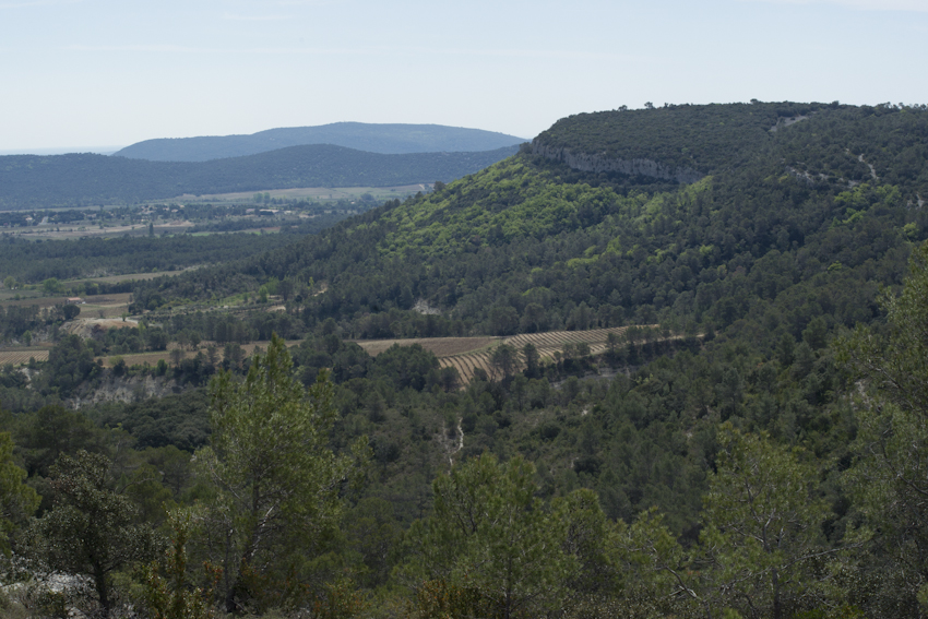 garrigue-chv-chb-escarp-JW