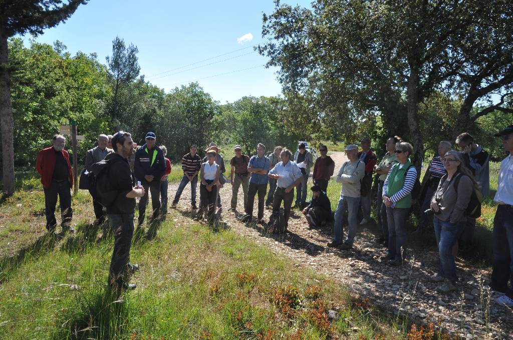 RDV des Garrigues BERNIS 005