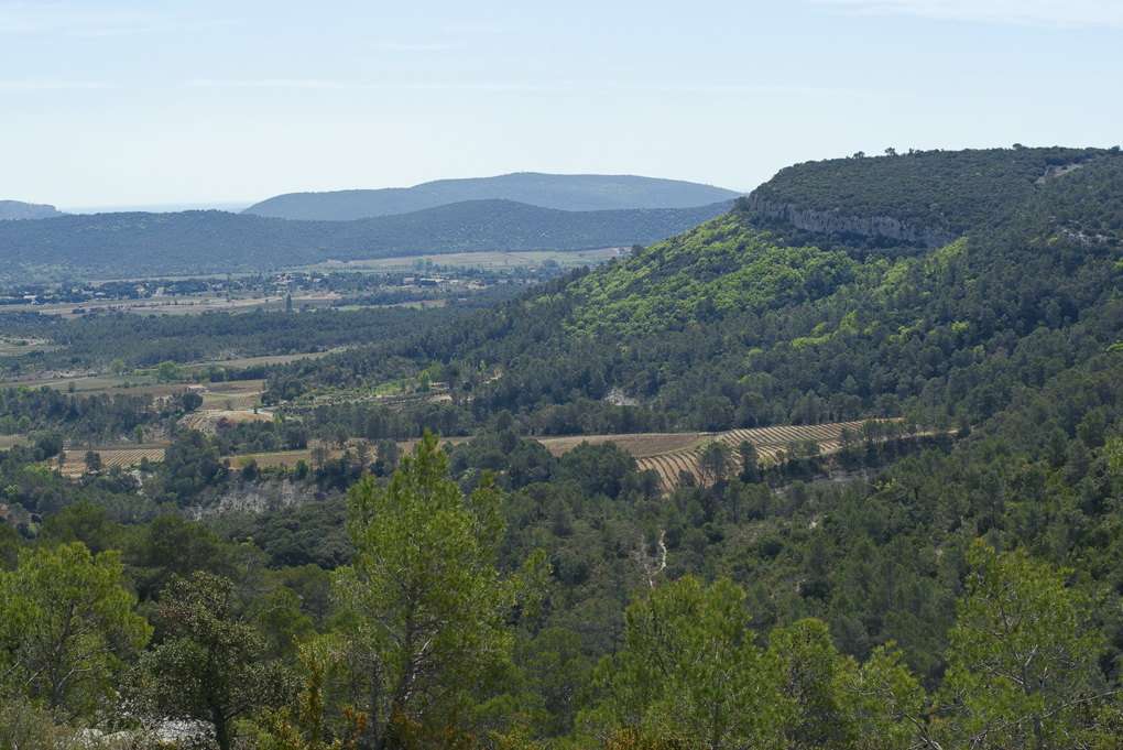 garrigue-chv-chb-escarp-JW02-acc