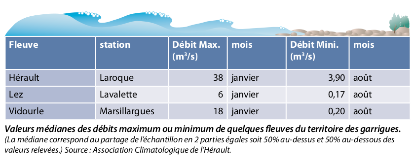 Debits-max